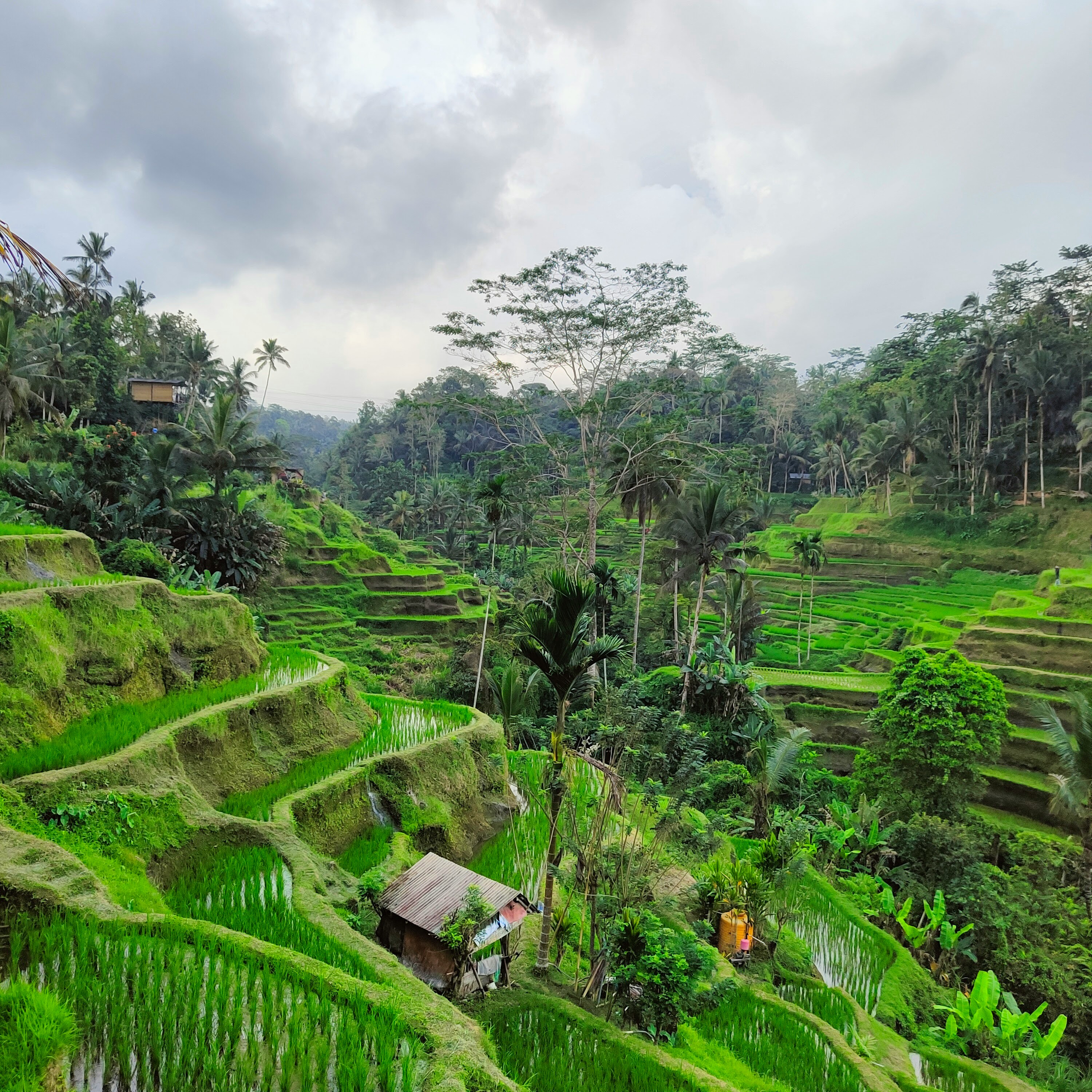 Bali